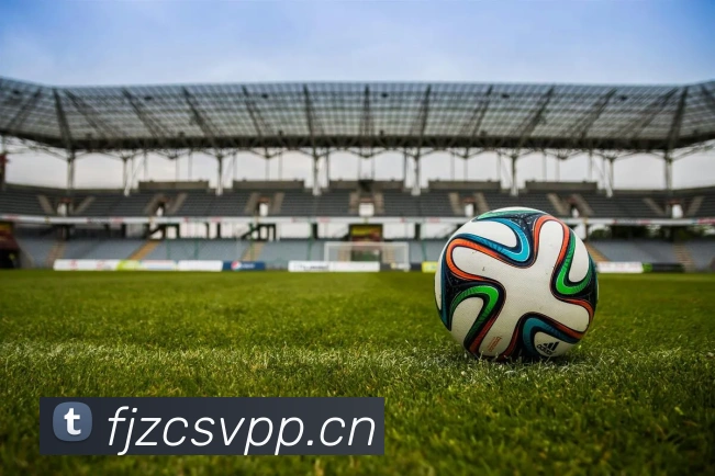 星空官网平台服务体系